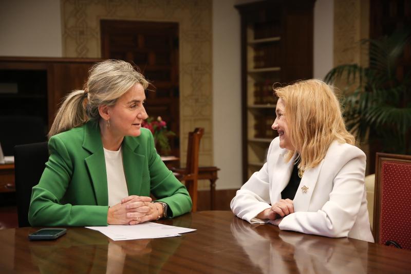 Milagros Tolón recibe a la presidenta del Tribunal Superior de Justicia de Castilla-La Mancha