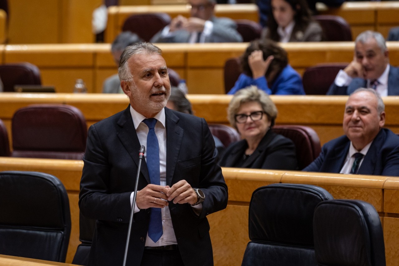 Senat