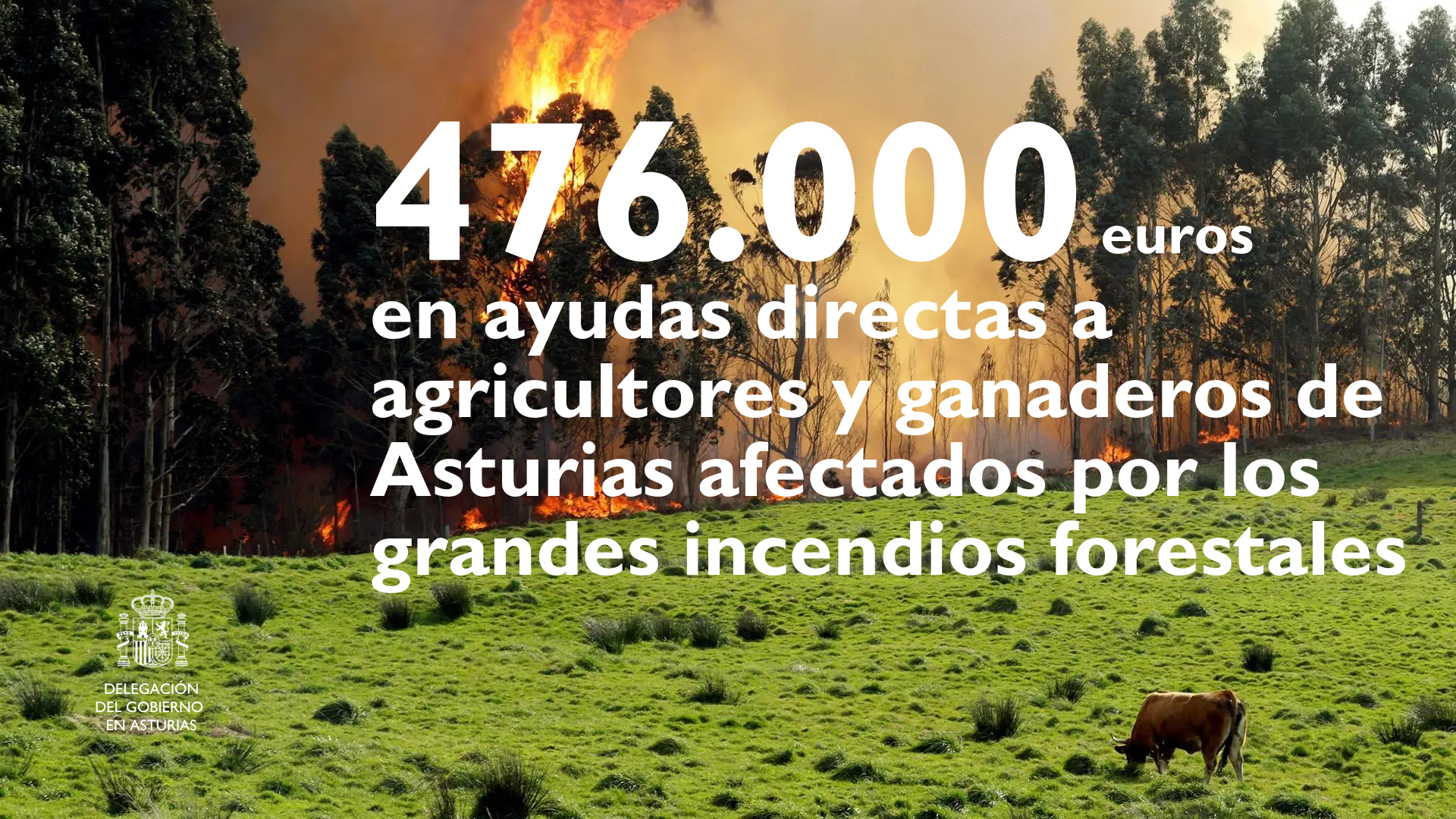 El Gobierno inicia hoy el pago de 476.000 euros en ayudas directas a agricultores y ganaderos de Asturias afectados por los grandes incendios forestales