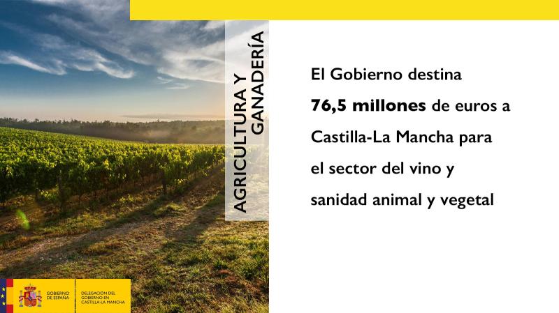 El Gobierno destina 76,5 millones de euros a Castilla-La Mancha para el sector del vino y sanidad animal y vegetal