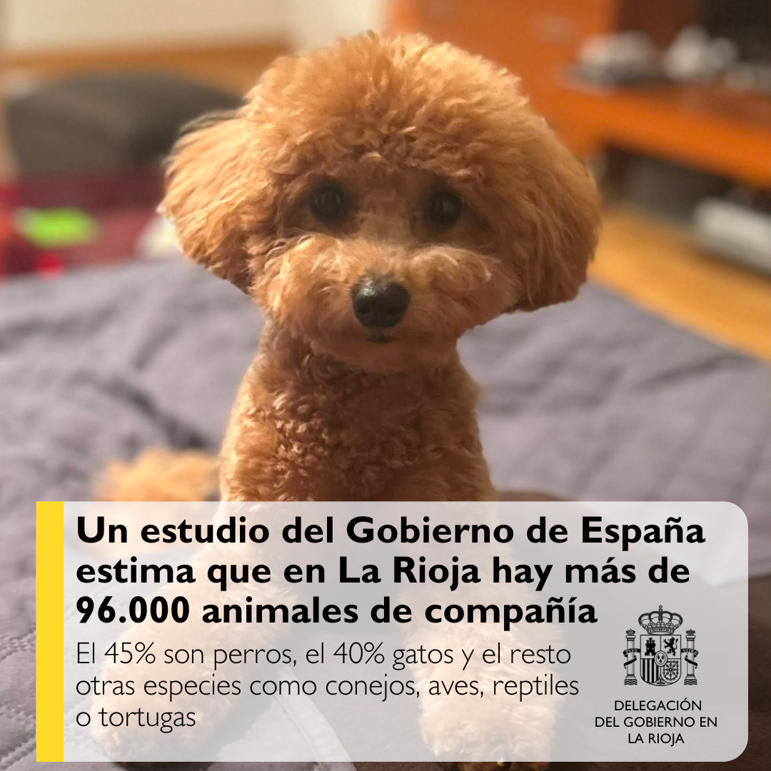 Animales de compañía