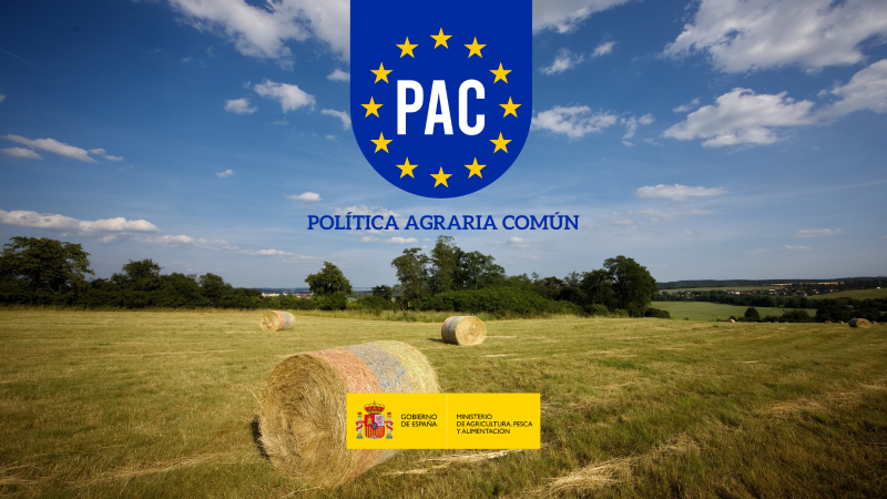 PAC2026