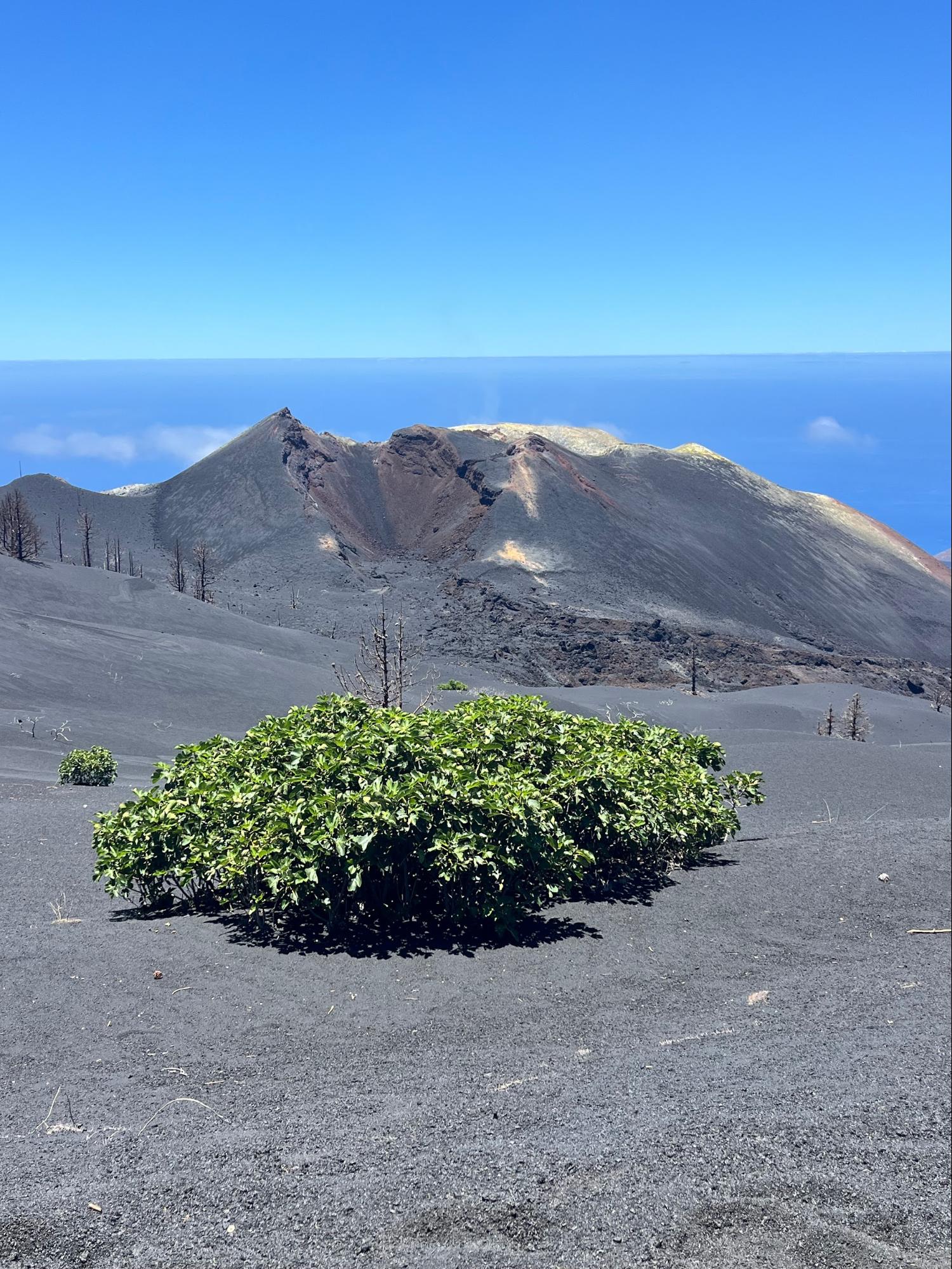 Imagen del cono volcánico del Tajogaite, La Palma