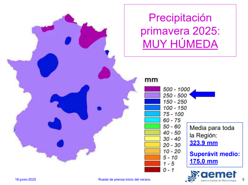 The spring of 2025 in Extremadura doubles the reference values in terms of rainfall