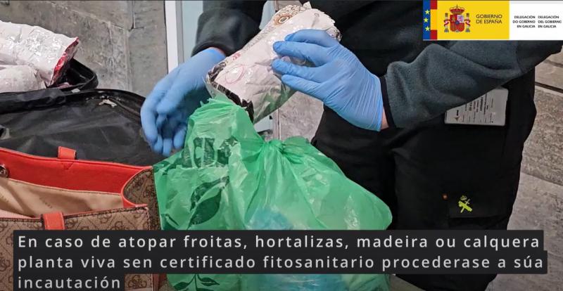 María Rivas highlights the work done by customs personnel and the State Security Forces and Bodies in the inspection of plant health at the border