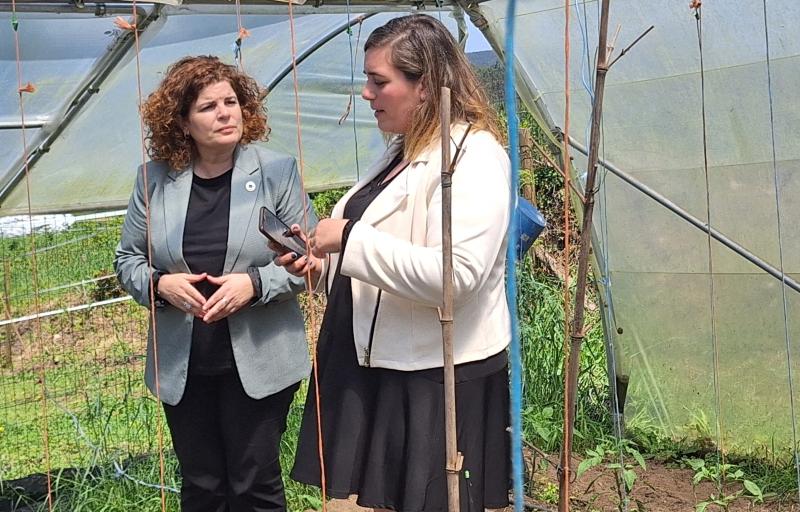 María Rivas encourages to request the “Digital Kit” of the Government that already has 9,700 subscriptions from companies and self-employed in the province