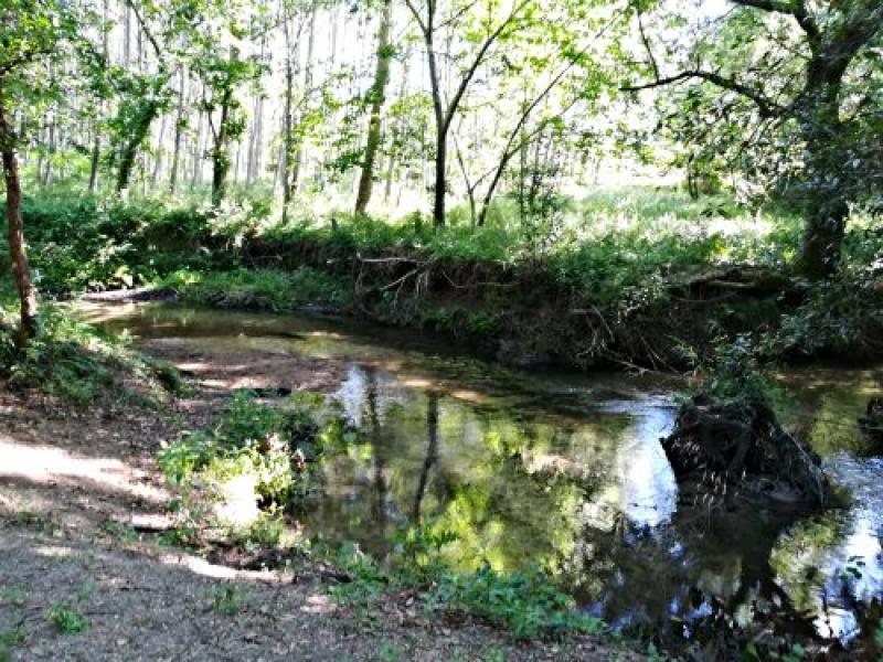 The procedure that will allow the improvement of the environment of the Caselas River in Tui is already under way