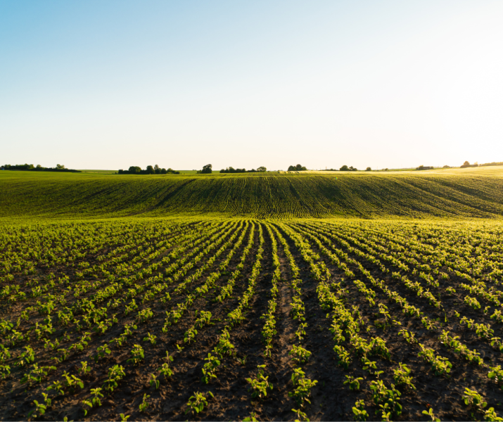 The Government allocates more than 2.2 million euros to La Rioja to finance rural development, agriculture and livestock interventions