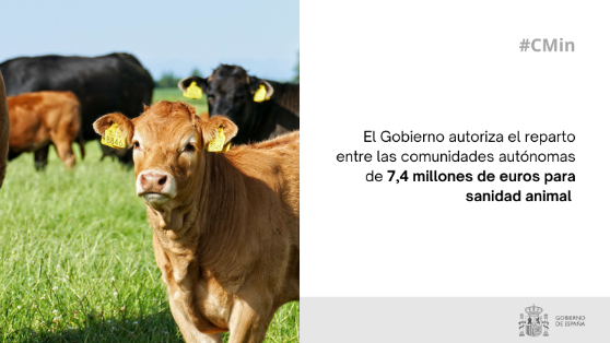 Companies in La Rioja can apply until October 7 for RedIA grants to integrate Artificial Intelligence into the business fabric