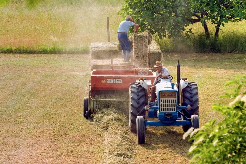The Government publishes the order of modules with significant reductions in income tax 2024 for 27,000 farmers and livestock farmers in Madrid