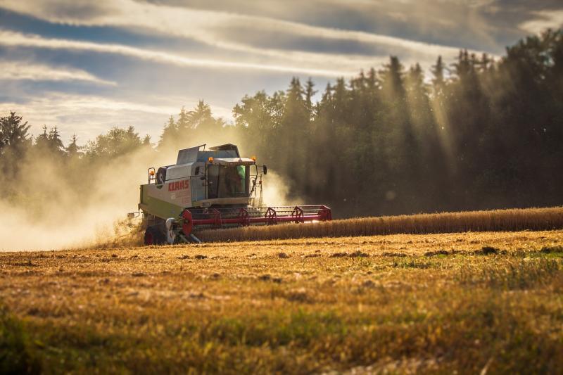 Farmers and livestock farmers in Navarre will receive 67 million euros in advance payments of the CAP