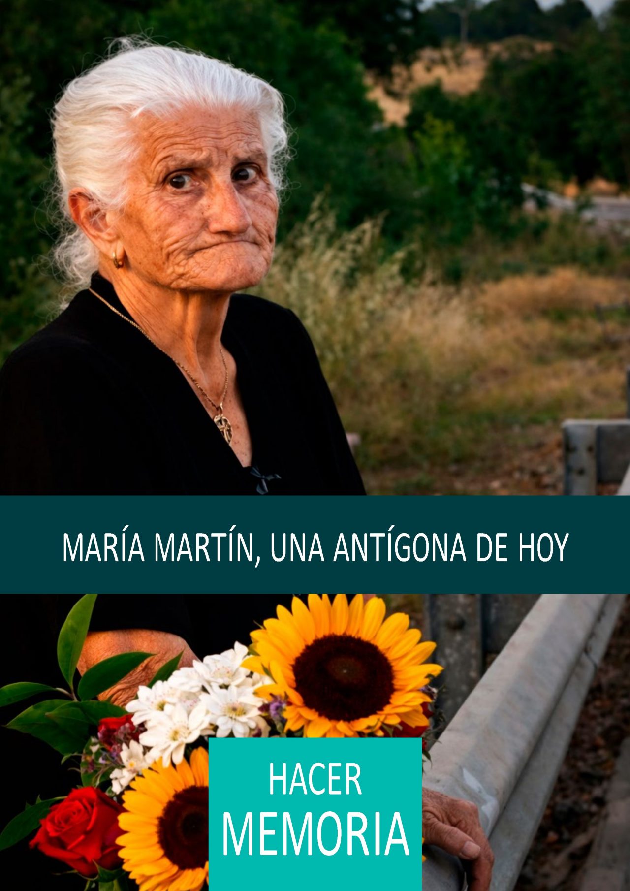 Cover of the publication