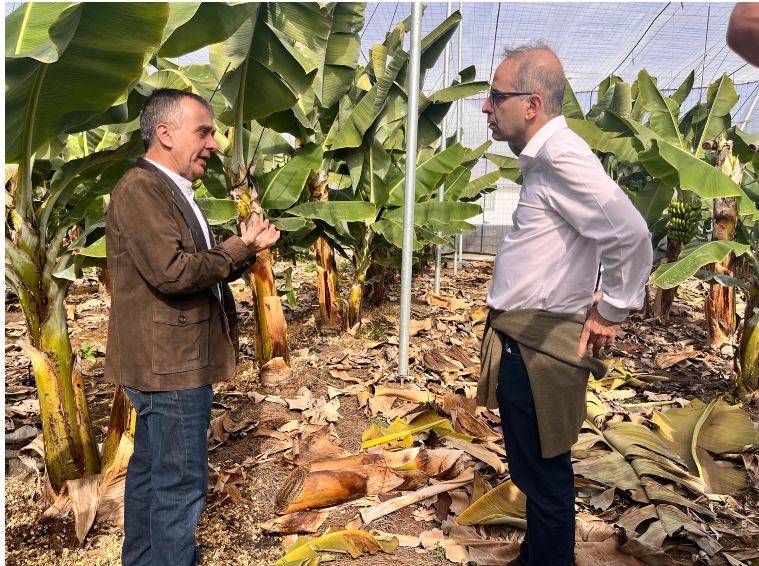 farm visits in reconstruction La Palma