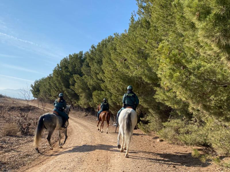 El Escuadrón de Caballería de la Guardia Civil refuerza la vigilancia del medio rural en la comarca de Valdejalón