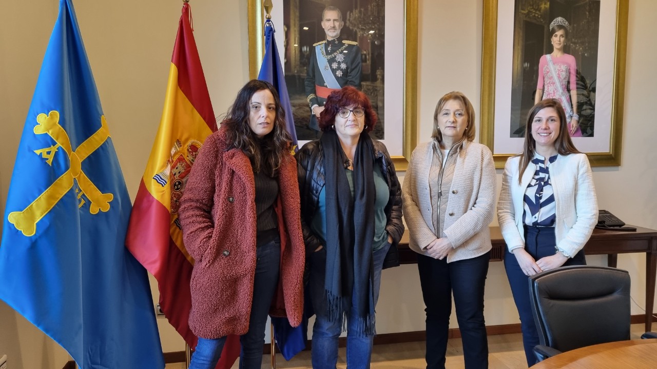 La delegada do Goberno reúnese coa Asociación de Vecinos de Olloniego