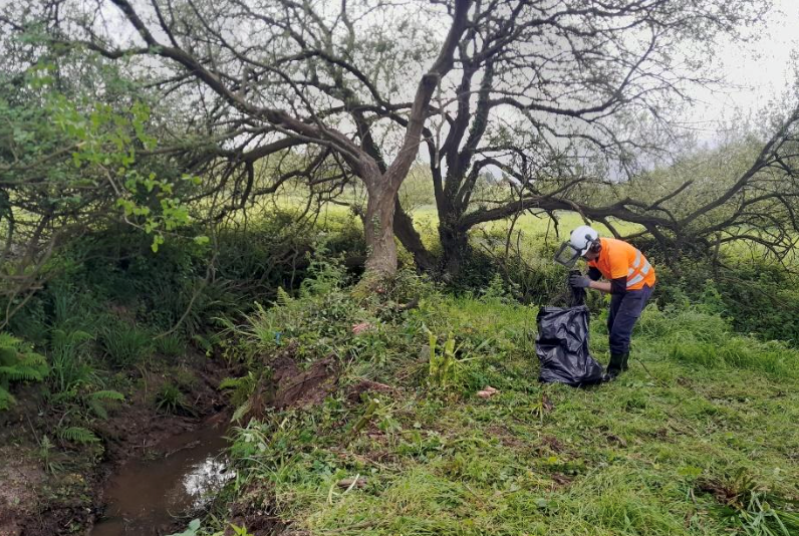 A Confederación Hidrográfica do Cantábrico traballa na conservación do arroio Borroñal