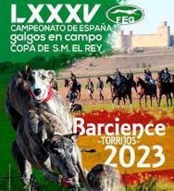 A Garda Civil velará pola seguridade do LXXXV Campionato de España de Galgos que acollerá o municipio toledano