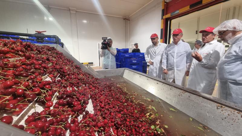 El delegado del Gobierno destaca el éxito del proyecto de contratación en origen realizado por cooperativas de la comarca