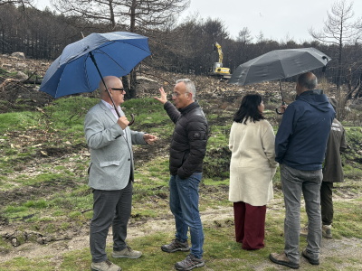Eladio Santos supervisa a restauración forestal dA Pobra de Trives