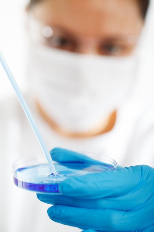 Madrid recibe 6,3 millóns de euros en axudas para a consolidación investigadora