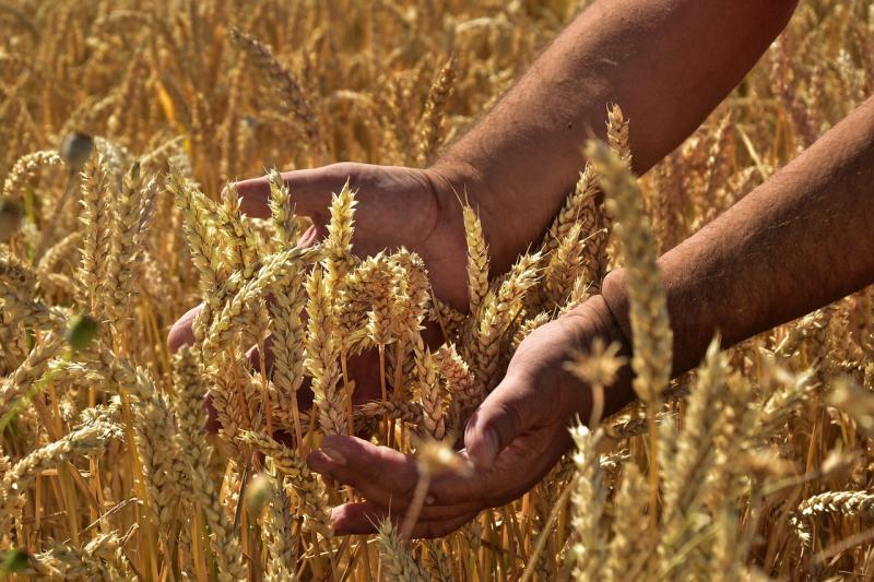 Máis de 5.500 agricultores de Navarra recibirán axudas para compensar a subida do prezo dos fertilizantes