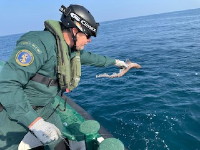 La Guardia Civil interviene en aguas guipuzcoanas dos palangres de fondo con una longitud de 300 metros cada uno