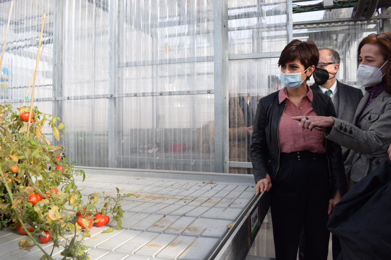 Visita ao Centro de Investigación en Agrobiotecnología (CIALE)