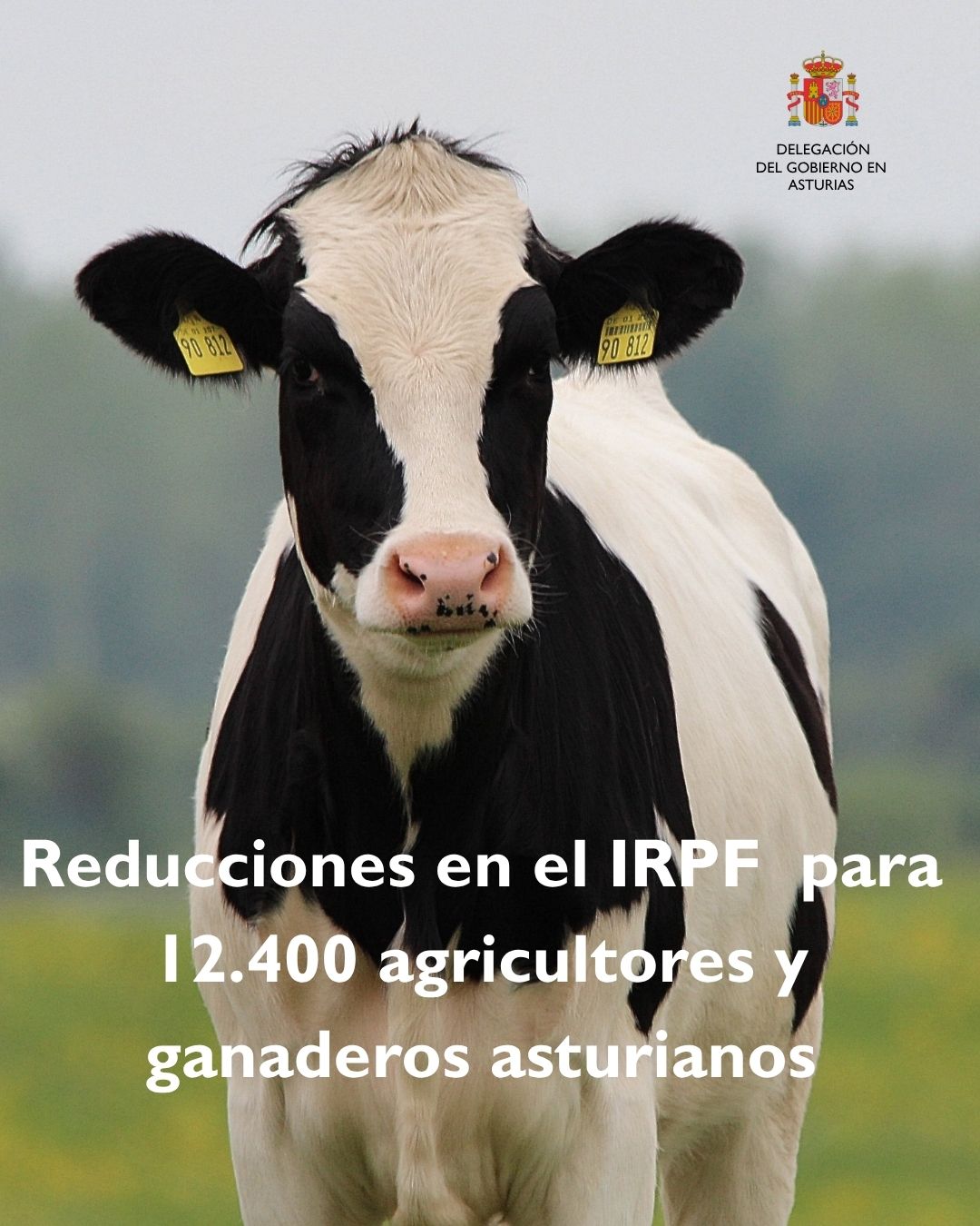 poster abecedario animal v de vaca minimalista negro blanco - 3