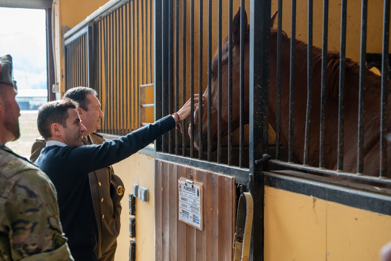 El delegado acariciando a un caballo