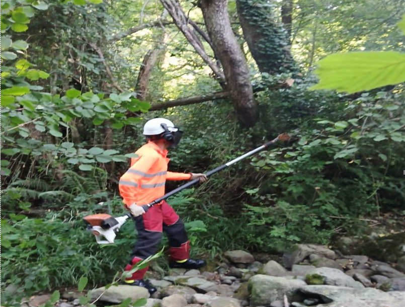 Trabajos de limpieza sobre el terreno