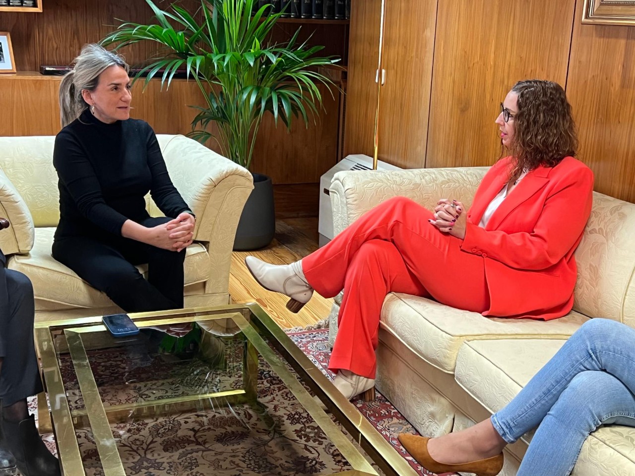 La delegada del Gobierno mantiene una reunión de trabajo con la consejera de Igualdad