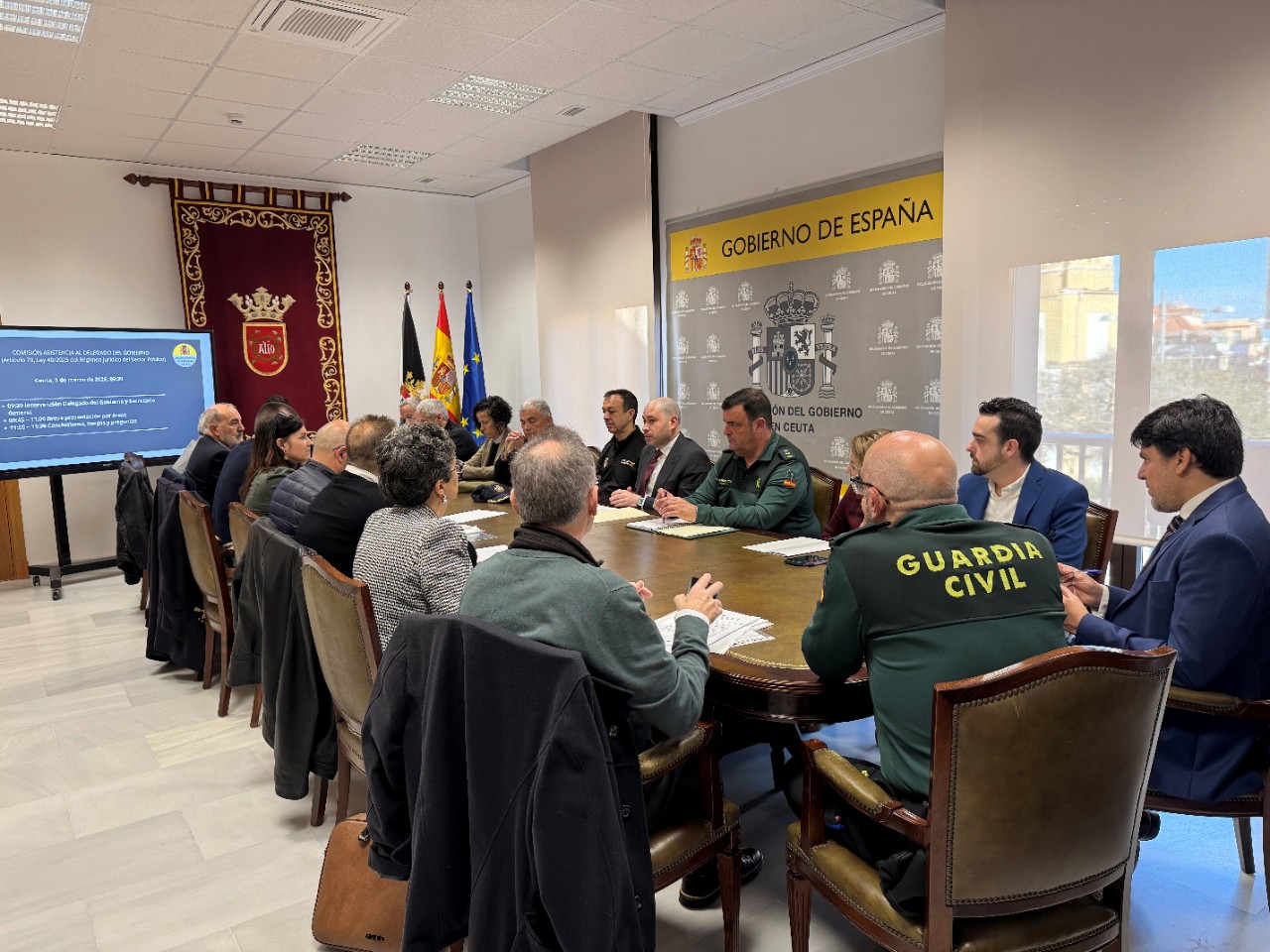 Comisión de asistencia al Delegado del Gobierno