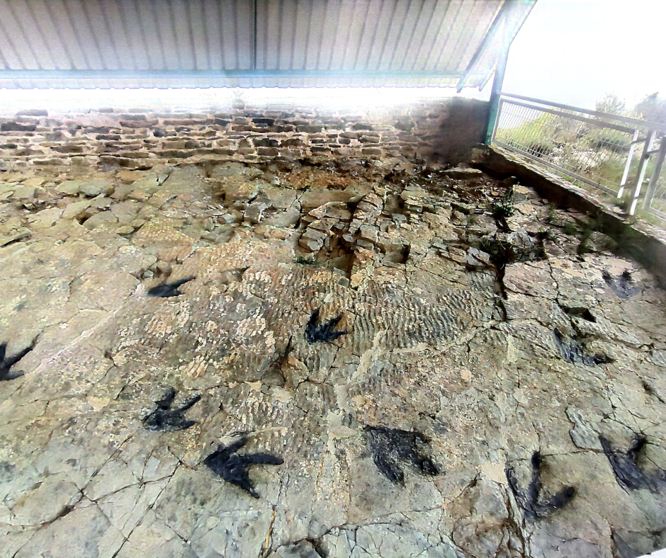 Imagen de archivo de huellas de dinosaurio en Igea, La Rioja