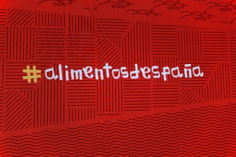 El Ministerio de Agricultura, Pesca y Alimentación, premios Alimentos de España a los mejores vinos 2026