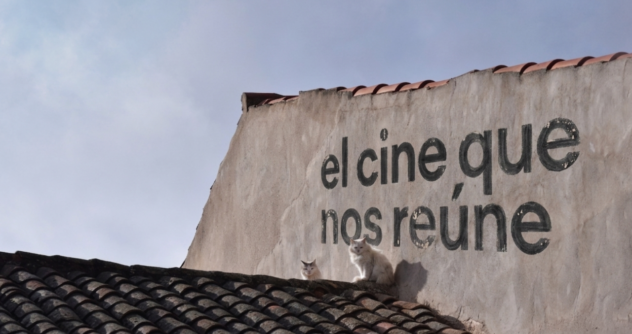 Cine Vecino