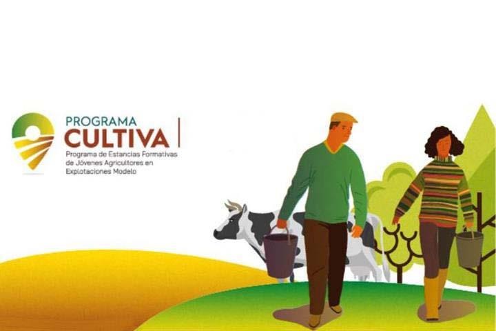 Programa Cultiva 2026