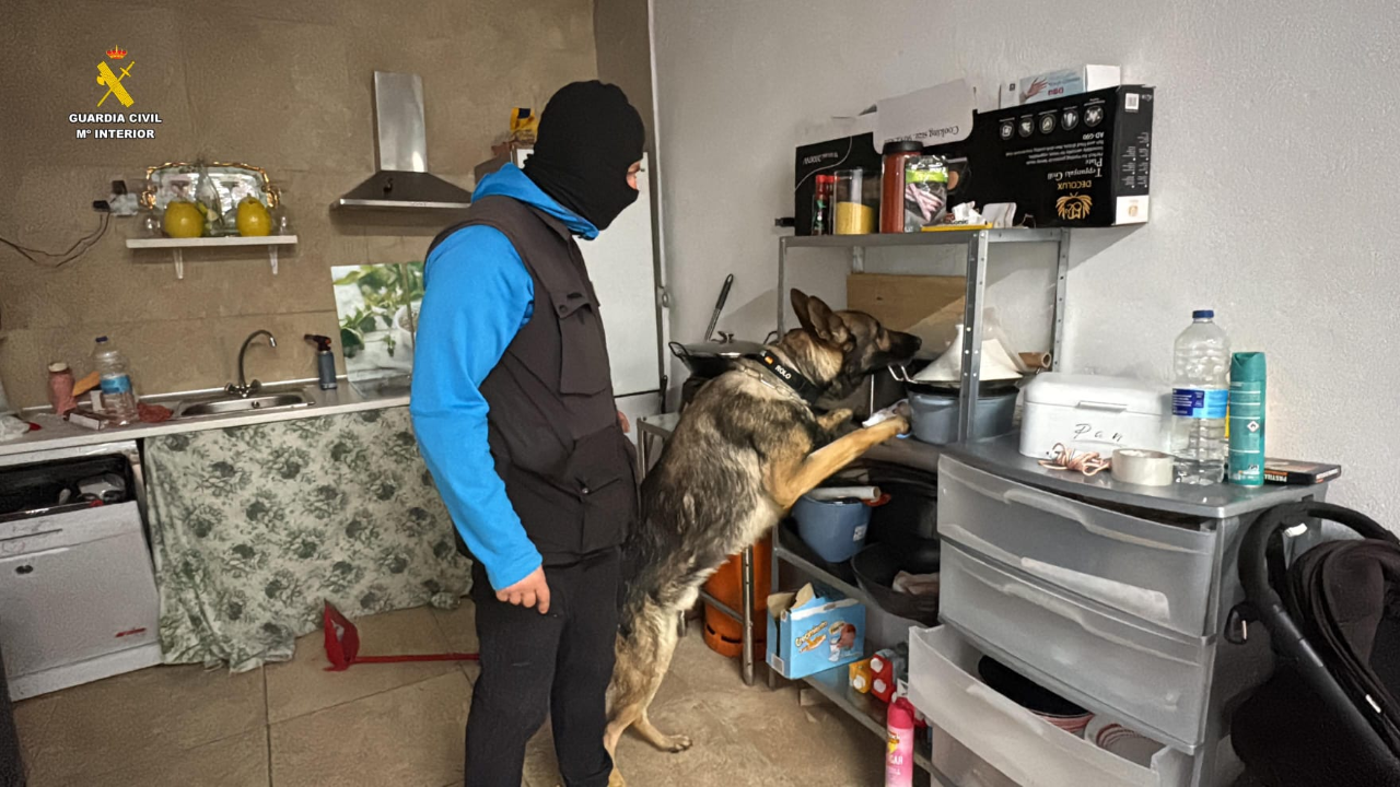 operación “Portus‑Cale” Guardia Civil