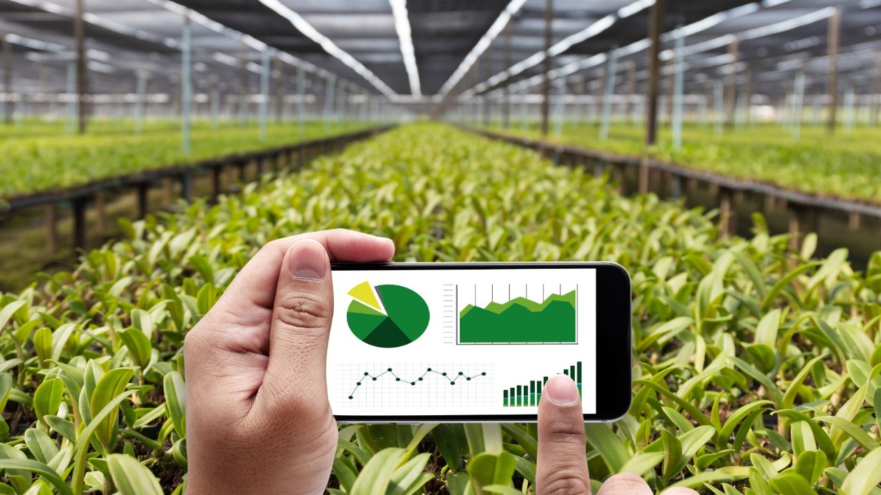 Plan Renove de Maquinaria agrícola 2026