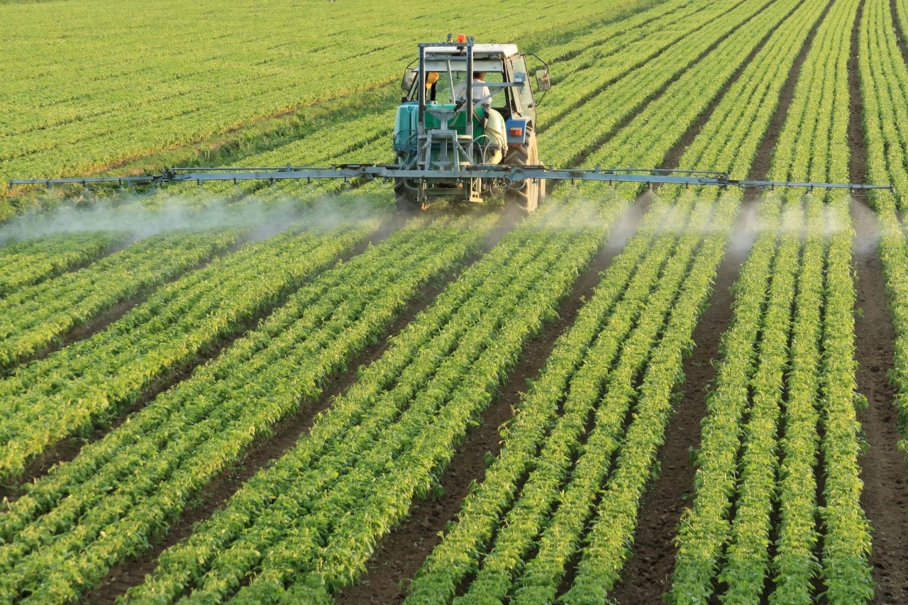 Agricultor