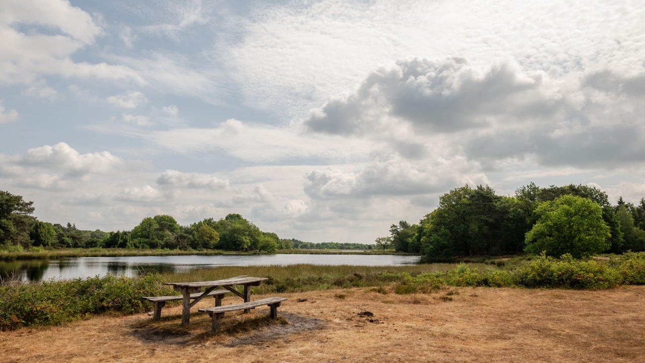 Los humedales son un tesoro natural