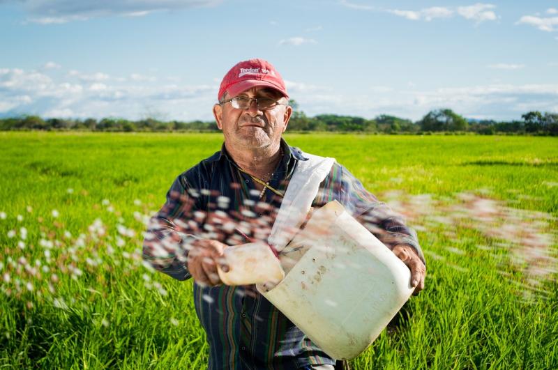 Más de 5.200 agricultores de Navarra reciben hoy 7 millones de euros para compensar la subida del precio de los fertilizantes
