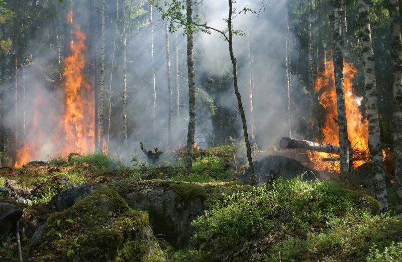 El Gobierno aprueba ayudas para los afectados por 80 emergencias registradas en 13 comunidades autónomas
