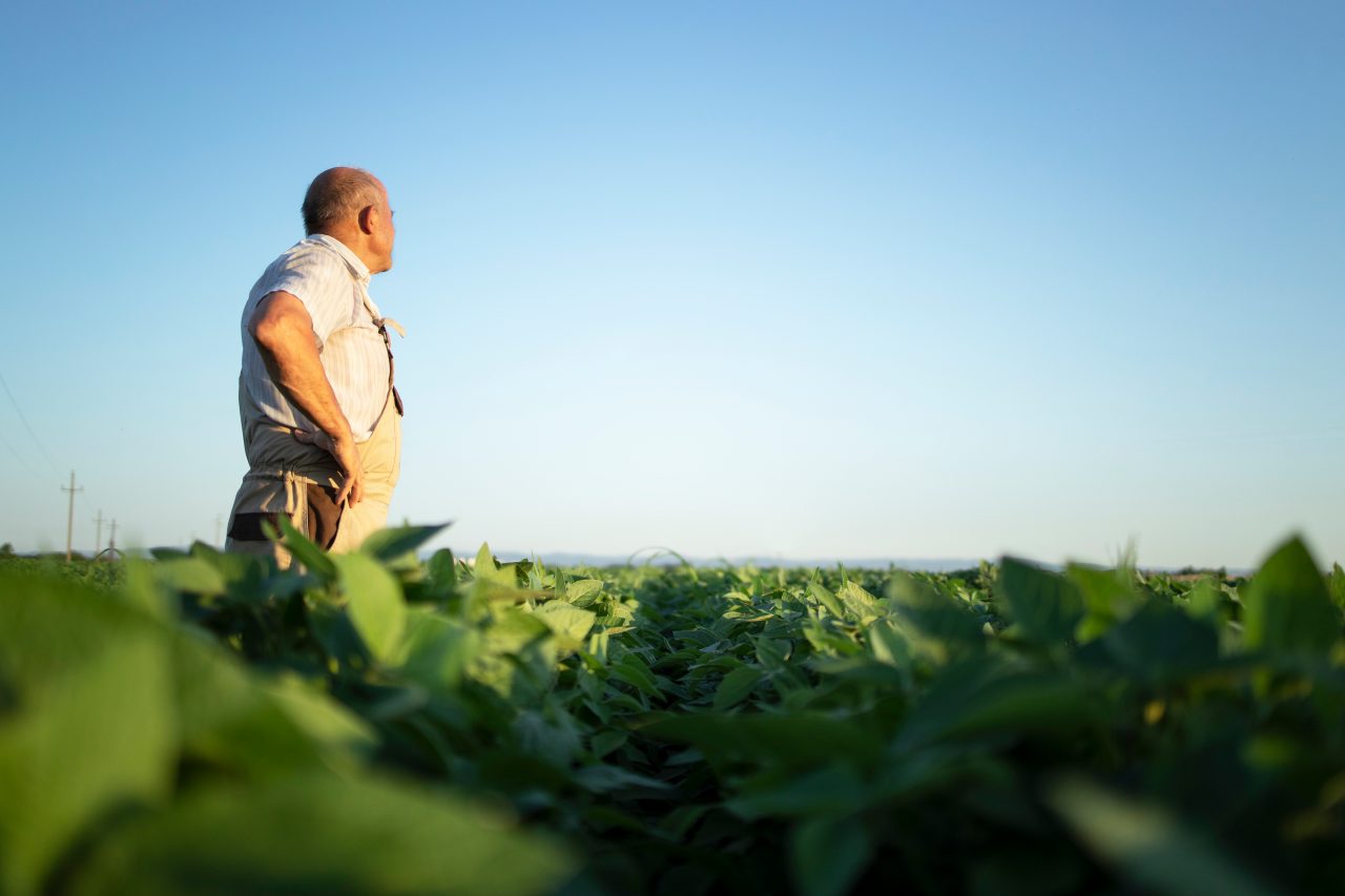 Agricultor en un campo de cultivo