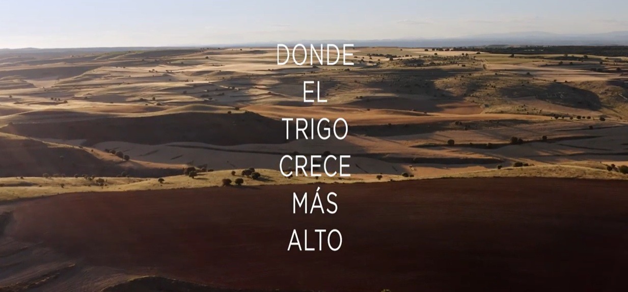 Cubierta de la publicación