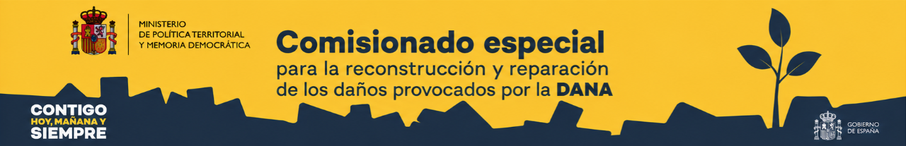 PORTADA COMISIONADO