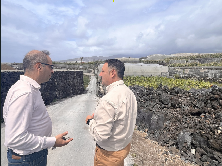 fincas plataneras Tazacorte tras volcán