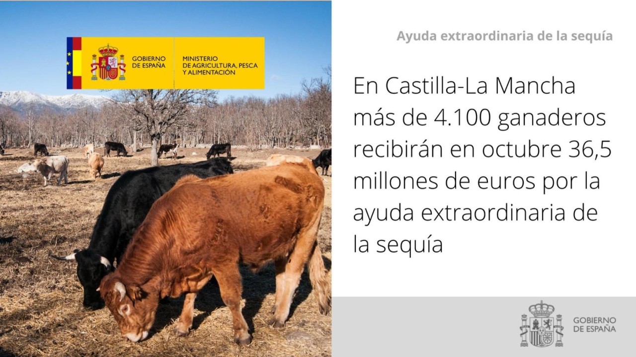 A Castella-la Manxa més de 4.100 ramaders rebran a l'octubre 36,5 milions d'euros per l'ajuda extraordinària de la sequera