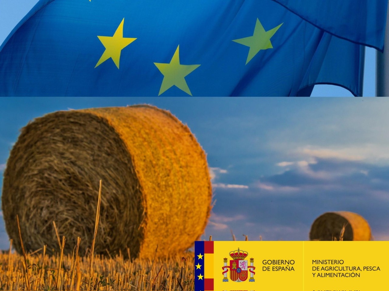 Els agricultors i ramaders de Castella-la Manxa percebran prop de 300 milions d'euros en pagaments anticipats de la PAC