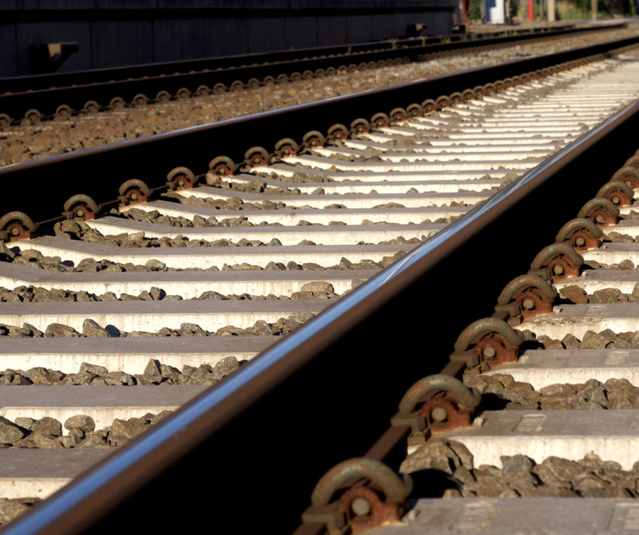 El Govern autoritza licitar per 40 milions d'euros dos contractes per a renovar la línia de tren convencional entre Navarra i La Rioja