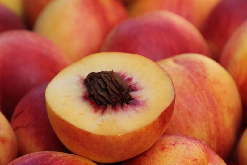 El Govern destina més de mig milió d'euros d'ajuda extraordinària a més de 450 productors de fruiters i fruits de corfa de Navarra
